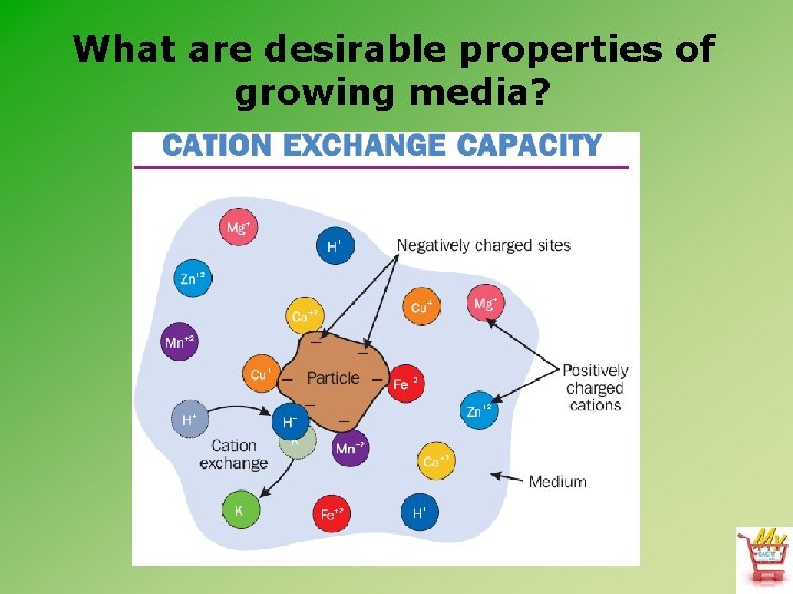 What are desirable properties of growing media? 