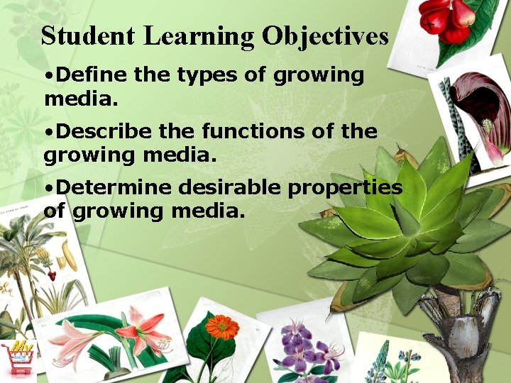Student Learning Objectives • Define the types of growing media. • Describe the functions