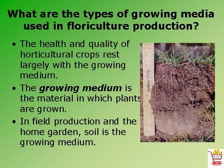 What are the types of growing media used in floriculture production? • The health