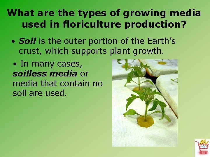 What are the types of growing media used in floriculture production? • Soil is