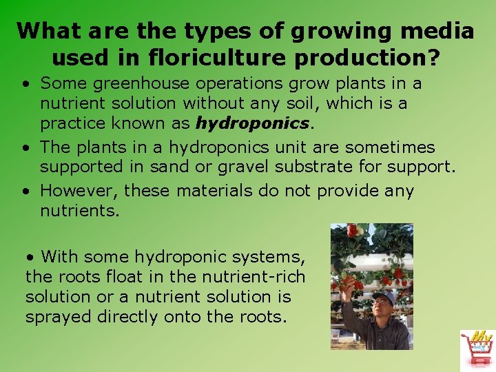 What are the types of growing media used in floriculture production? • Some greenhouse