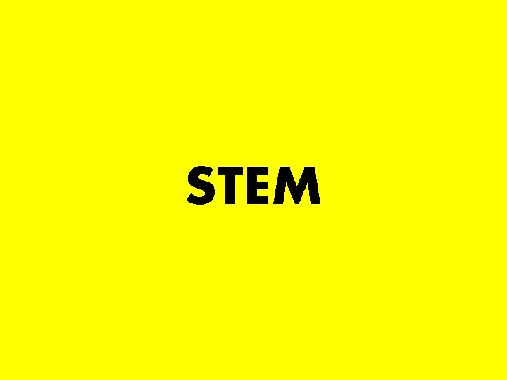 STEM 