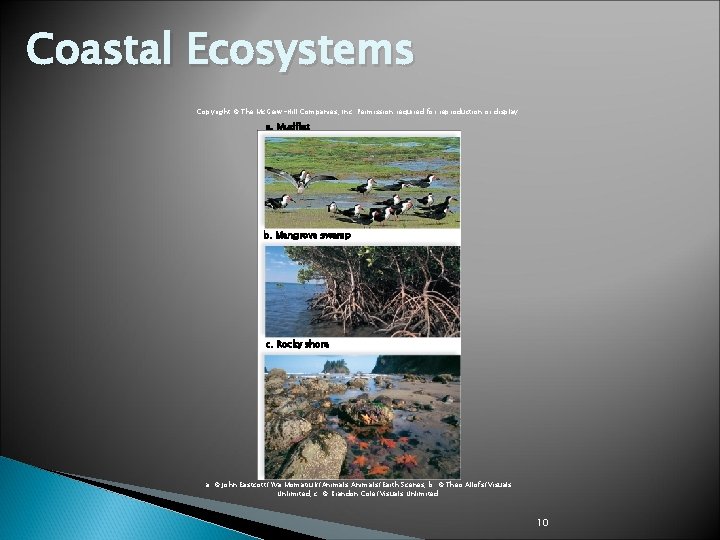 Coastal Ecosystems Copyright © The Mc. Graw-Hill Companies, Inc. Permission required for reproduction or