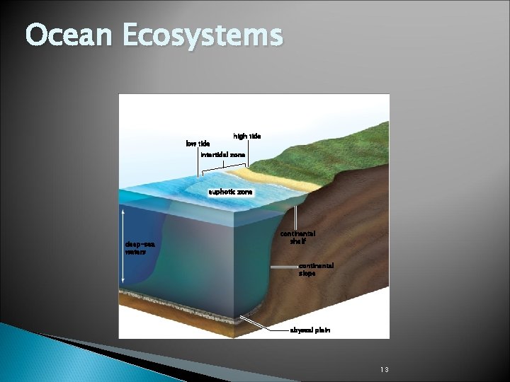 Ocean Ecosystems Copyright © The Mc. Graw-Hill Companies, Inc. Permission required for reproduction or