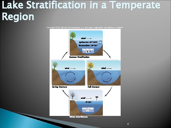 Lake Stratification in a Temperate Region Copyright © The Mc. Graw-Hill Companies, Inc. Permission