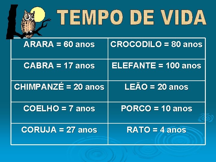 ARARA = 60 anos CROCODILO = 80 anos CABRA = 17 anos ELEFANTE =