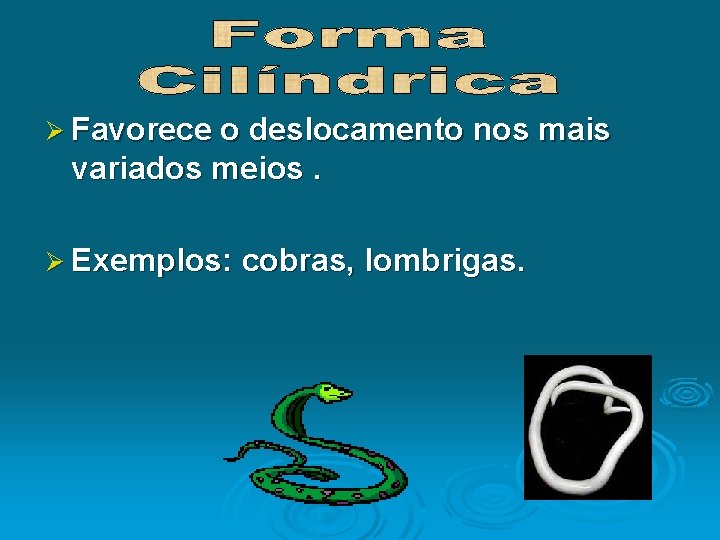 Ø Favorece o deslocamento nos mais variados meios. Ø Exemplos: cobras, lombrigas. 