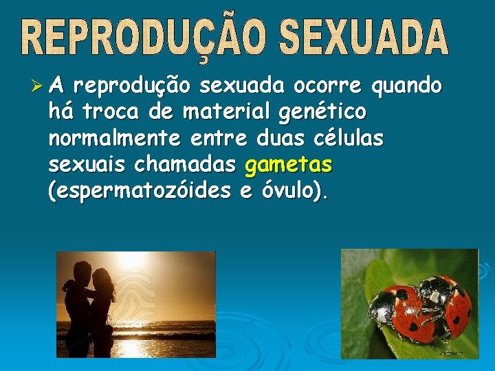 ØA reprodução sexuada ocorre quando há troca de material genético normalmente entre duas células