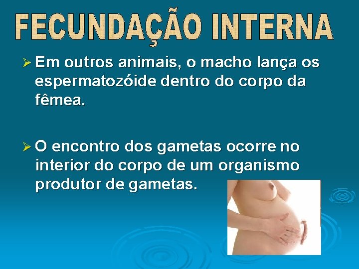 Ø Em outros animais, o macho lança os espermatozóide dentro do corpo da fêmea.