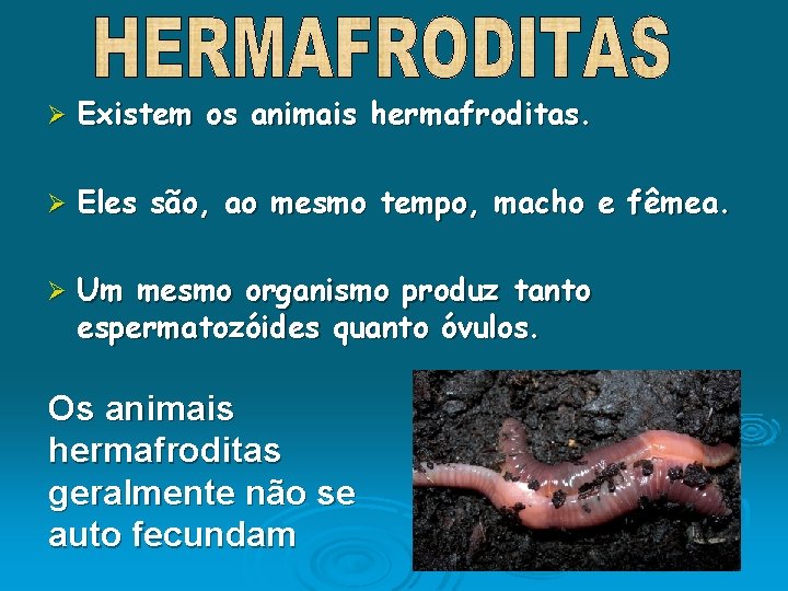 Ø Existem os animais hermafroditas. Ø Eles são, ao mesmo tempo, macho e fêmea.