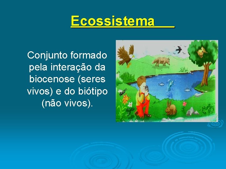 Ecossistema Conjunto formado pela interação da biocenose (seres vivos) e do biótipo (não vivos).