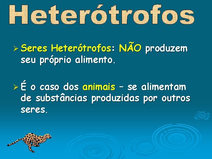Ø Seres Heterótrofos: NÃO produzem seu próprio alimento. ØÉ o caso dos animais –