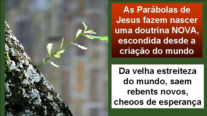 As Parábolas de Jesus fazem nascer uma doutrina NOVA, escondida desde a criação do