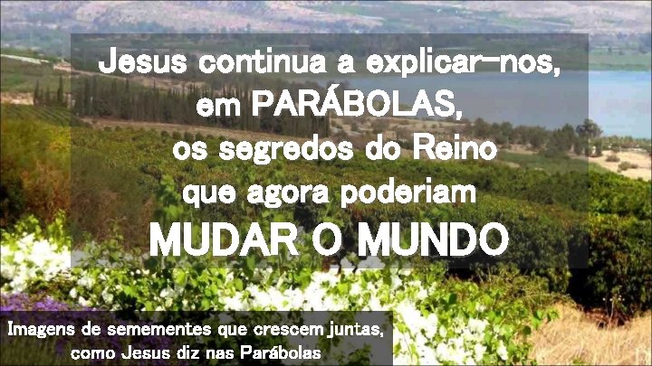 Jesus continua a explicar-nos, em PARÁBOLAS, os segredos do Reino que agora poderiam MUDAR