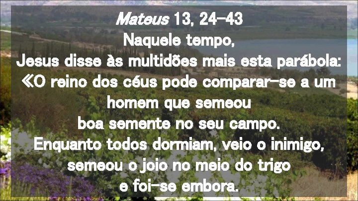 Mateus 13, 24 -43 Naquele tempo, Jesus disse às multidões mais esta parábola: «O