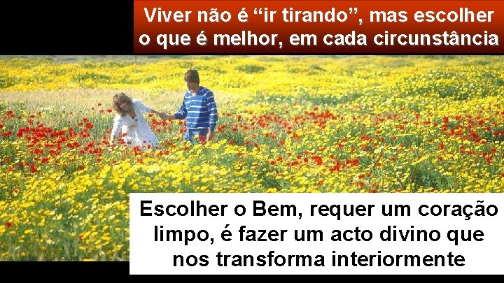 Viver não é “ir tirando”, mas escolher o que é melhor, em cada circunstância