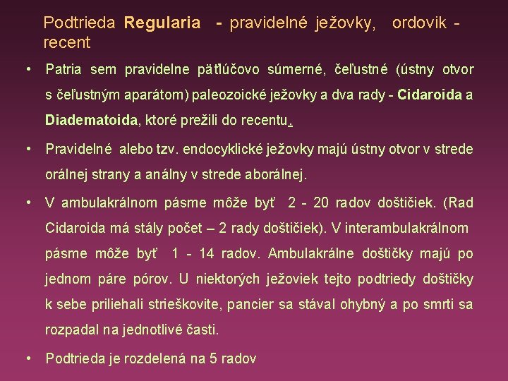 Podtrieda Regularia - pravidelné ježovky, ordovik - recent • Patria sem pravidelne päťlúčovo súmerné,