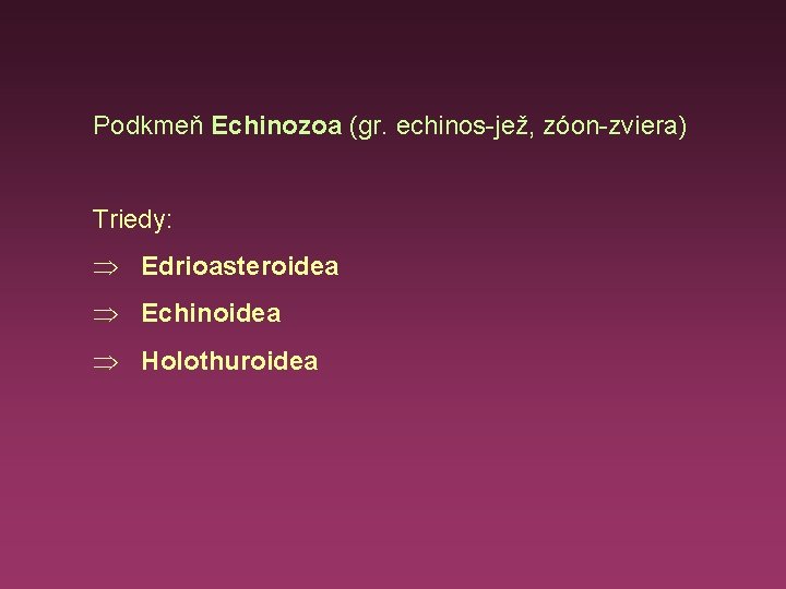 Podkmeň Echinozoa (gr. echinos-jež, zóon-zviera) Triedy: Þ Edrioasteroidea Þ Echinoidea Þ Holothuroidea 