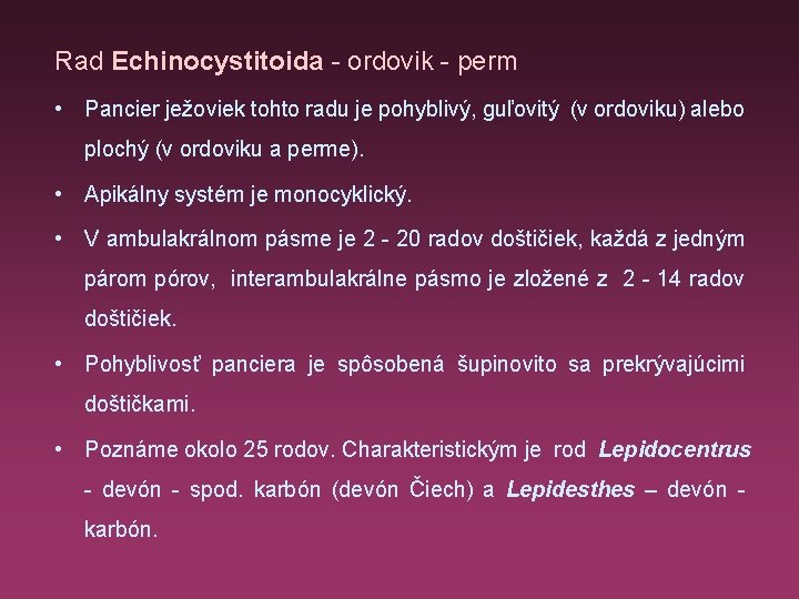 Rad Echinocystitoida - ordovik - perm • Pancier ježoviek tohto radu je pohyblivý, guľovitý