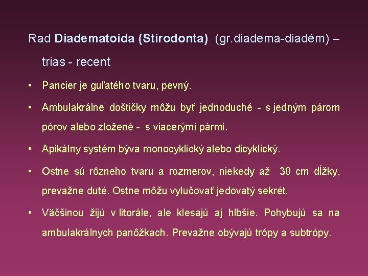 Rad Diadematoida (Stirodonta) (gr. diadema-diadém) – trias - recent • Pancier je guľatého tvaru,