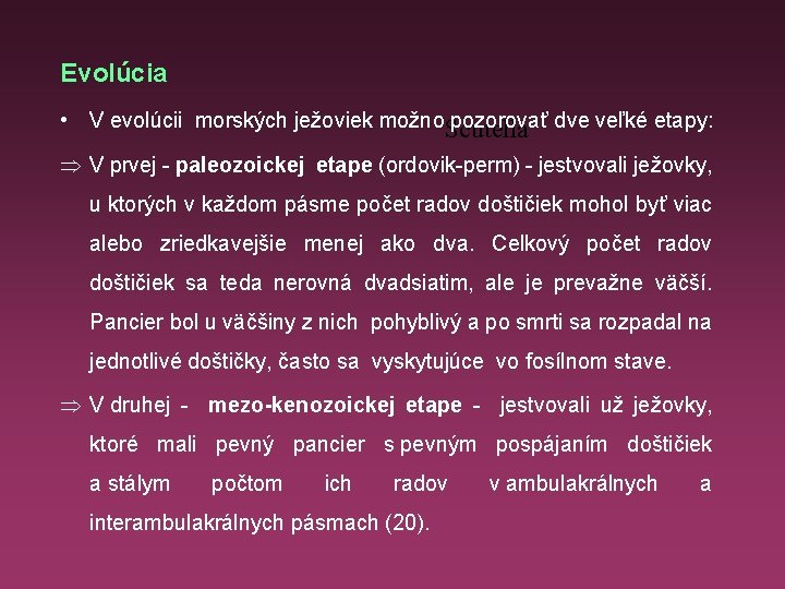 Evolúcia • V evolúcii morských ježoviek možno pozorovať dve veľké etapy: Scutella Þ V