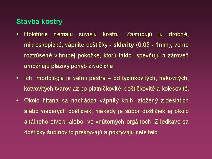 Stavba kostry • Holotúrie nemajú súvislú kostru. Zastupujú ju drobné, mikroskopické, vápnité doštičky -