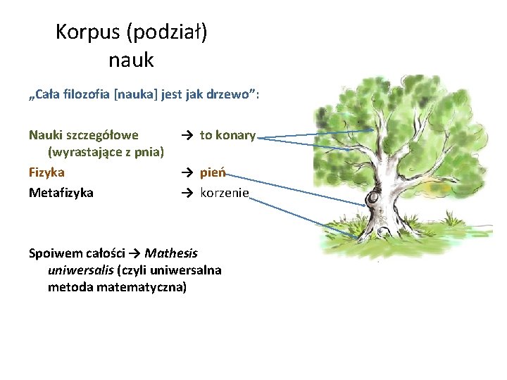 Korpus (podział) nauk „Cała filozofia [nauka] jest jak drzewo”: Nauki szczegółowe (wyrastające z pnia)