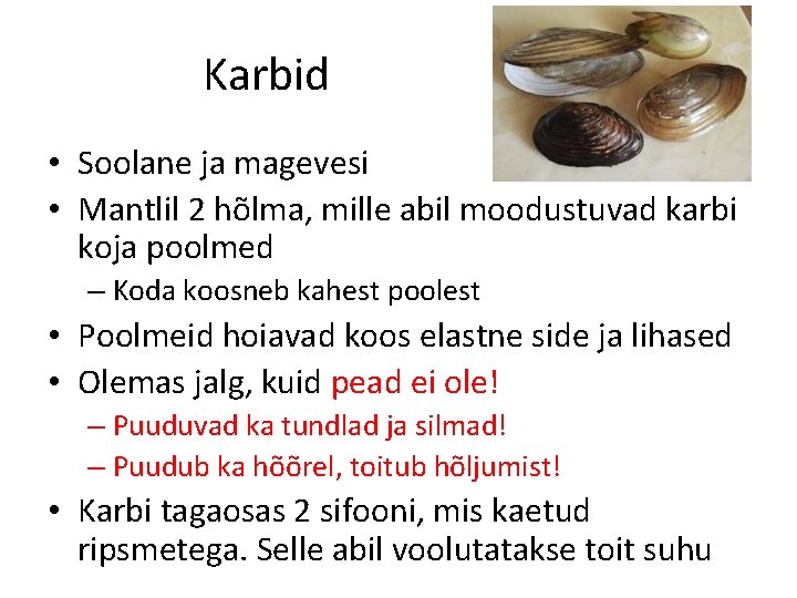 Karbid • Soolane ja magevesi • Mantlil 2 hõlma, mille abil moodustuvad karbi koja