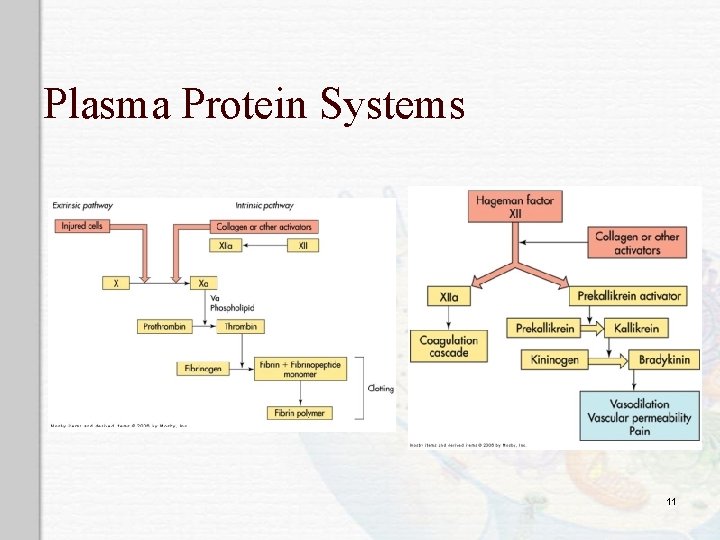 Plasma Protein Systems 11 