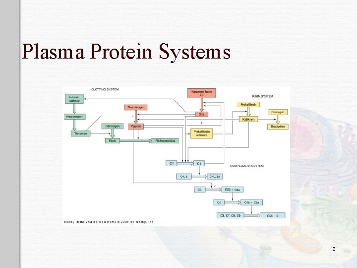 Plasma Protein Systems 12 
