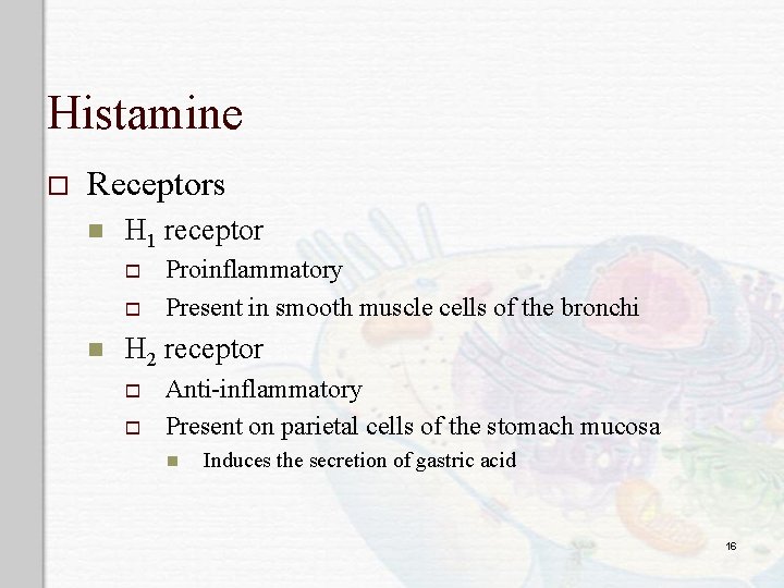 Histamine o Receptors n H 1 receptor o o n Proinflammatory Present in smooth