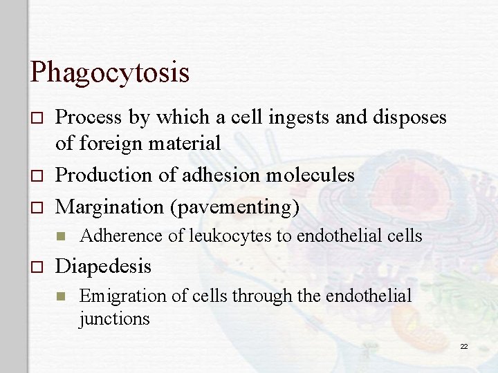 Phagocytosis o o o Process by which a cell ingests and disposes of foreign
