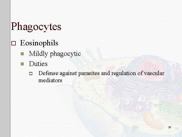 Phagocytes o Eosinophils n n Mildly phagocytic Duties o Defense against parasites and regulation