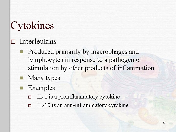 Cytokines o Interleukins n n n Produced primarily by macrophages and lymphocytes in response