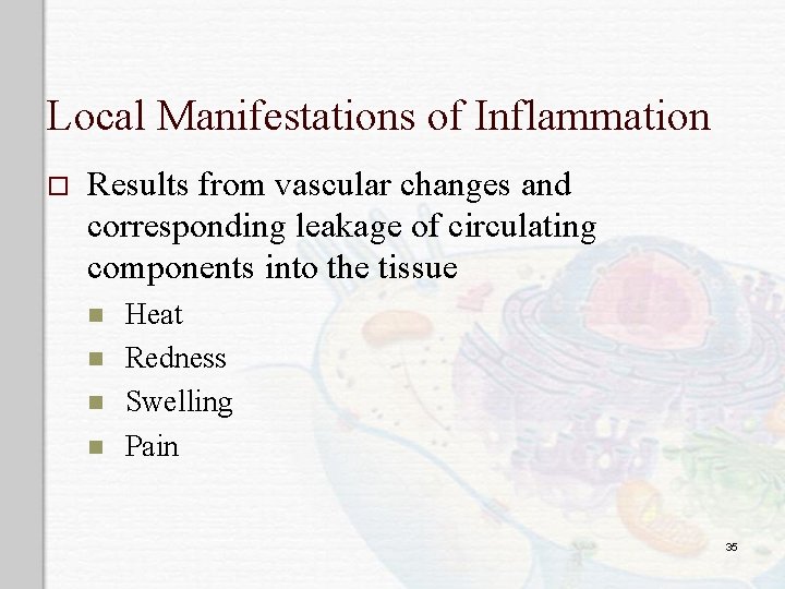 Local Manifestations of Inflammation o Results from vascular changes and corresponding leakage of circulating