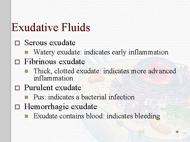 Exudative Fluids o Serous exudate n o Fibrinous exudate n o Thick, clotted exudate: