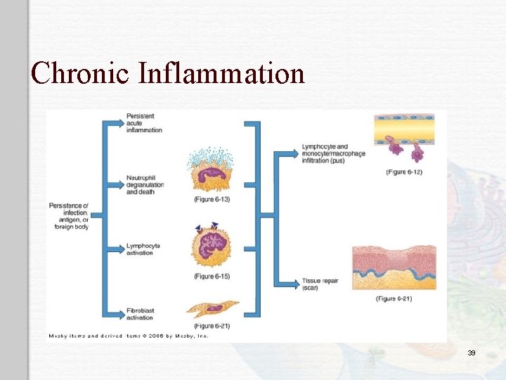 Chronic Inflammation 39 