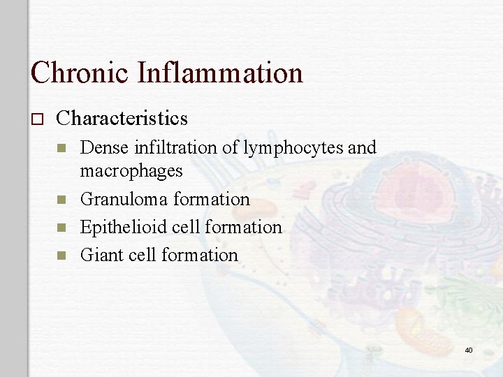 Chronic Inflammation o Characteristics n n Dense infiltration of lymphocytes and macrophages Granuloma formation