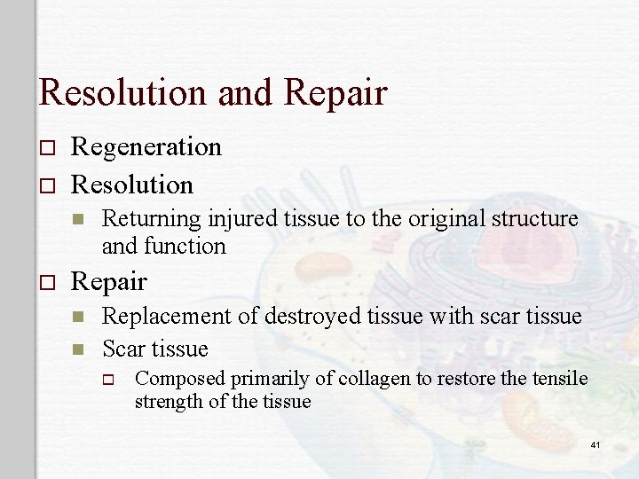 Resolution and Repair o o Regeneration Resolution n o Returning injured tissue to the