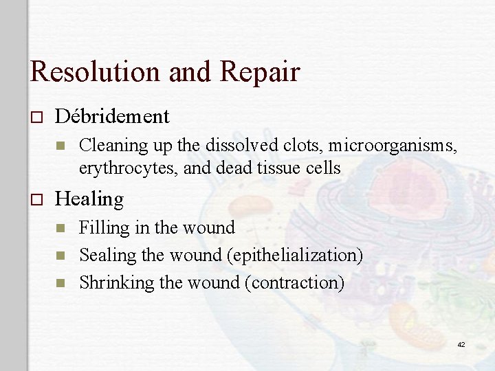 Resolution and Repair o Débridement n o Cleaning up the dissolved clots, microorganisms, erythrocytes,