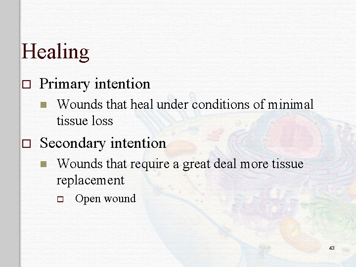 Healing o Primary intention n o Wounds that heal under conditions of minimal tissue