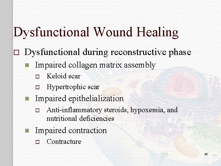 Dysfunctional Wound Healing o Dysfunctional during reconstructive phase n Impaired collagen matrix assembly o