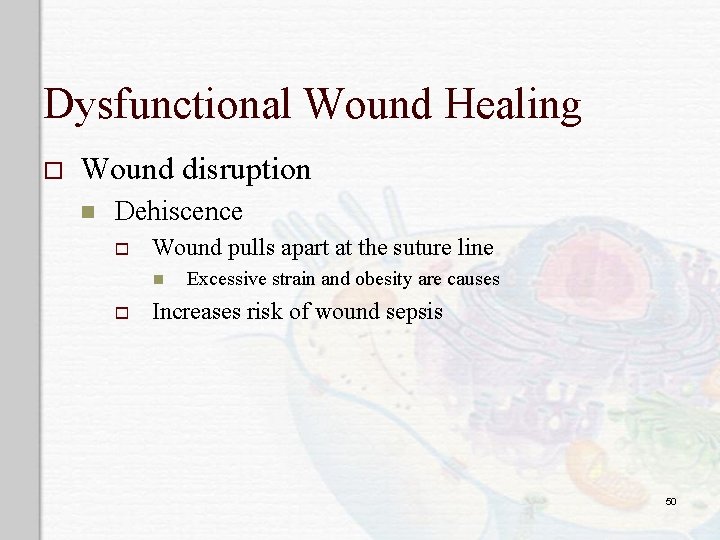 Dysfunctional Wound Healing o Wound disruption n Dehiscence o Wound pulls apart at the
