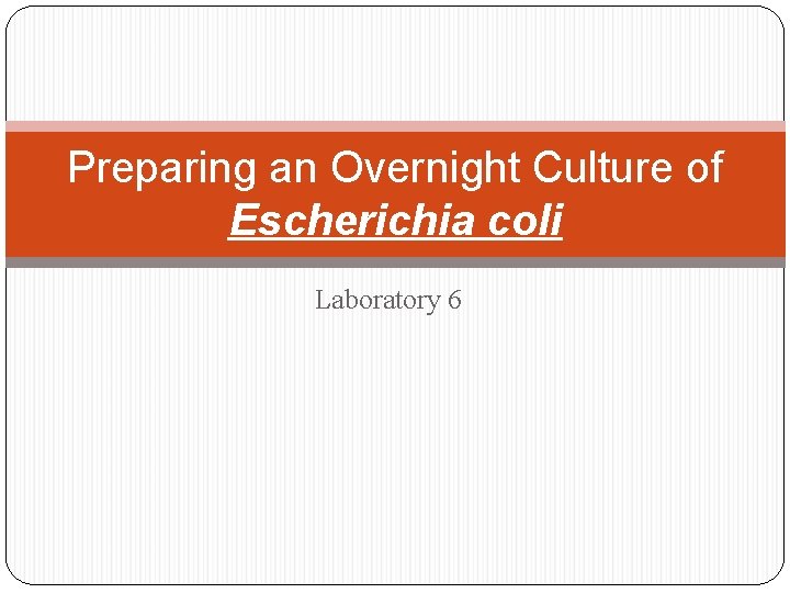 Preparing an Overnight Culture of Escherichia coli Laboratory 6 