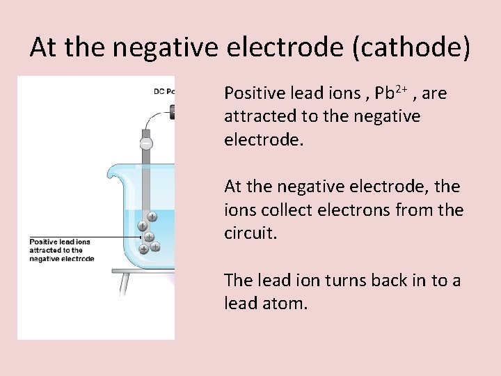 At the negative electrode (cathode) Positive lead ions , Pb 2+ , are attracted