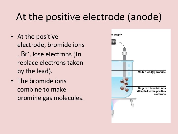 At the positive electrode (anode) • At the positive electrode, bromide ions , Br-,