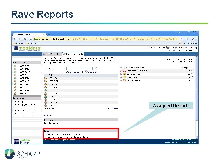 Rave Reports Assigned Reports 