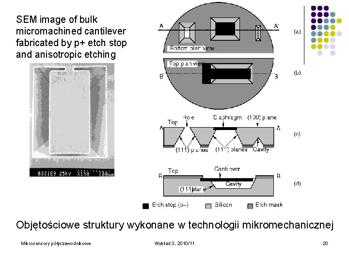 SEM image of bulk micromachined cantilever fabricated by p+ etch stop and anisotropic etching