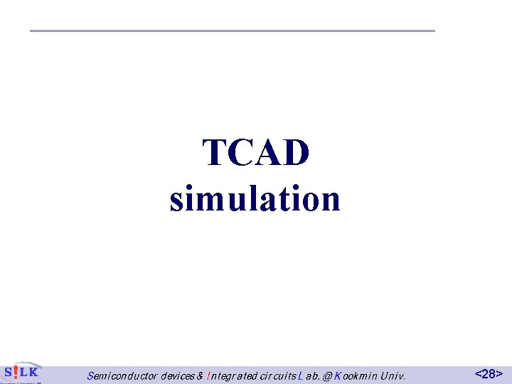 TCAD simulation <28> 