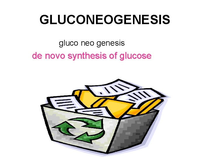 GLUCONEOGENESIS gluco neo genesis de novo synthesis of glucose 